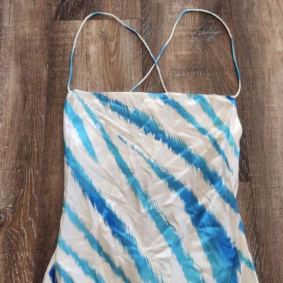 Retrofete Amika Dress in Blue Zebra Size XS NWT Sleeveless Striped Silk Maxi - Picture 3 of 13